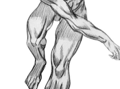 Anatomía movimiento