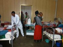 IMG_0800 (2) IMG_0800 (2)