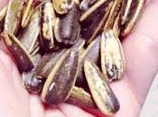 Tips nutrición pipas gira-sol