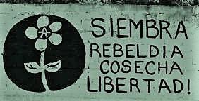 Siembra-rebeldía