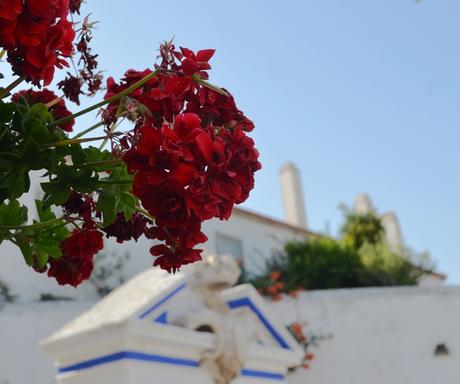 Óbidos: una irresistible villa medieval amurallada {Portugal}