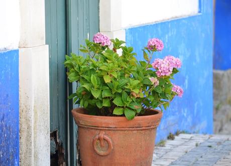 Óbidos: una irresistible villa medieval amurallada {Portugal}