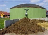 El problema de la“mierda” en Cataluña