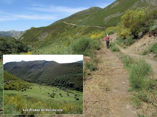 Camplongo-Cuérravo-El Cuadro-Pendilla-Tonín