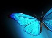 leyenda mariposa azul