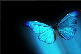 La leyenda de la mariposa azul