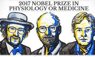 Premio Nobel de Medicina 2017 otorgado por las ideas sobre el reloj biológico interno