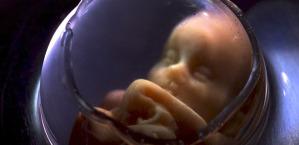 La vida intrauterina de todo bebé antes de nacer