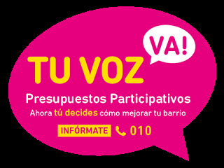 “Presupuestos participativos, Valladolid como reto compartido”