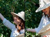 manzanas tarritos Naturnes