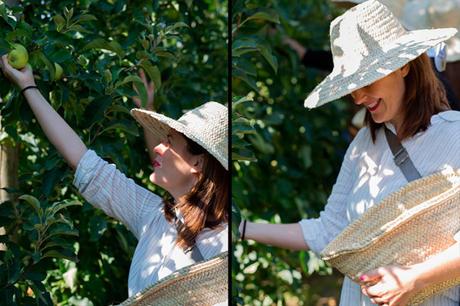 Así son las manzanas de los tarritos Naturnes