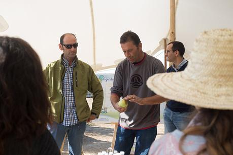 Así son las manzanas de los tarritos Naturnes