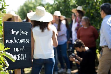 Así son las manzanas de los tarritos Naturnes