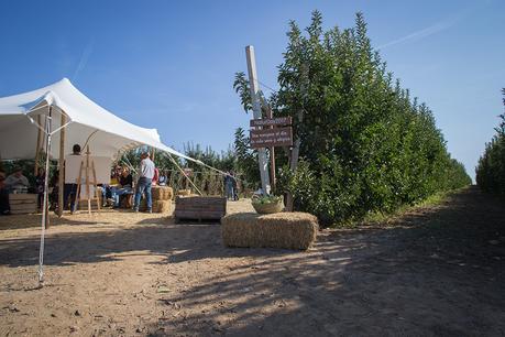Así son las manzanas de los tarritos Naturnes