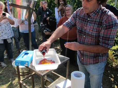 Así son las manzanas de los tarritos Naturnes
