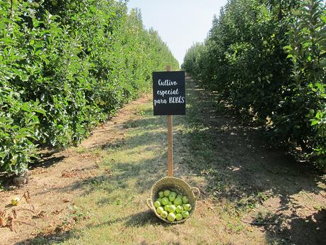 Así son las manzanas de los tarritos Naturnes