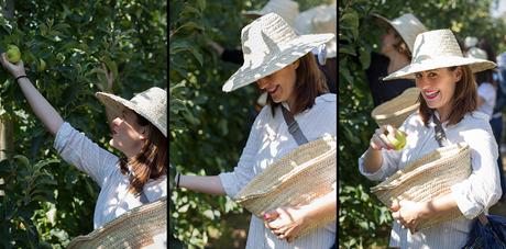 Así son las manzanas de los tarritos Naturnes