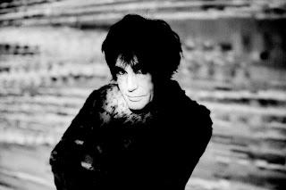 Peter Perrett - How The West Was Won (2017)