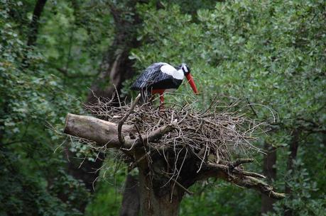 EXCURSIÓN AL BOSC ENCANTAT DE GURB EXCURSIÓN AL BOSC ENCANTAT DE GURB