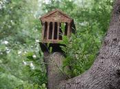 Excursión bosc encantat gurb