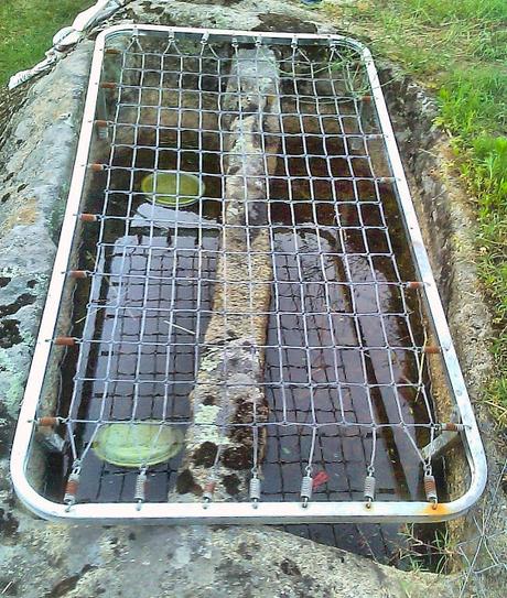 Sueño eterno Sueño eterno