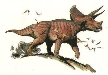 Llámame... Triceratops