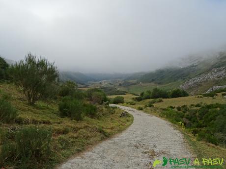 Ruta a Peña Chana: Pista de la ruta del Valle del Lago