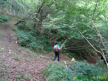 Canal de Reñinuevo: Desvío en el bosque para retomar la canal