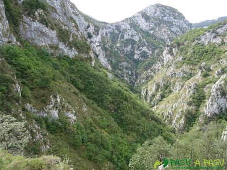 Canal de Reñinuevo: Bosque y Desfiladero
