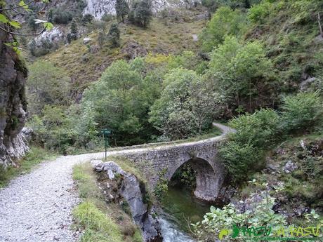 De Urdón a Tresviso: Puente sobre el río Urdón