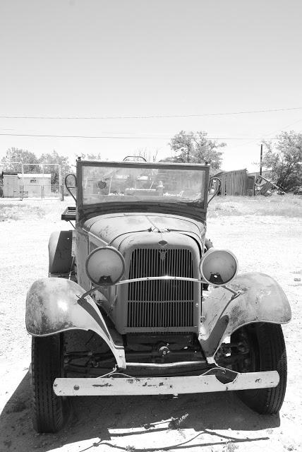 REFLEXIONES DE DEBORAH BRAHMS