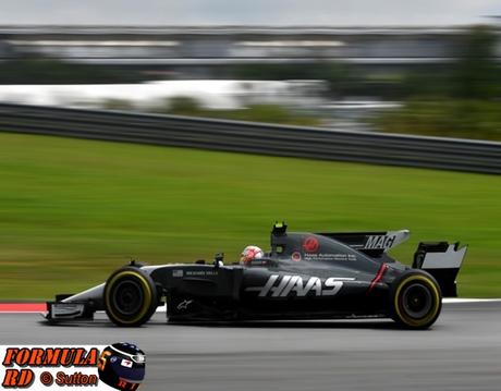 Magnussen ha descrito como 