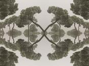 Venerdí Photosatriani