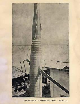 El huracán y la palma.