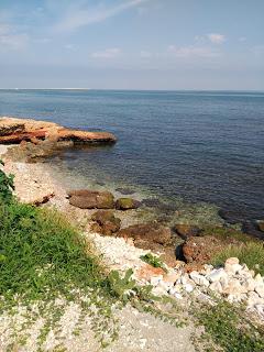 SNACK DE GARBANZOS...Y UN ENCUENTRO ESPECIAL SNACK DE GARBANZOS...Y UN ENCUENTRO ESPECIAL