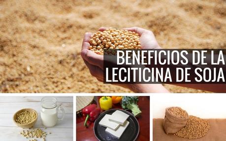 lecitina de soja