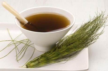 Beneficios y propiedades de la cola de caballo La cola de... cola de caballo