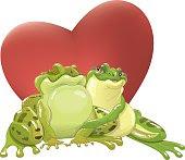 SAPO ENAMORADO.