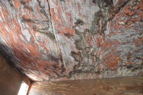 A lo Indiana Jones: Petra – Indiana Jones style: Petra