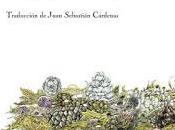 Reseña pequeño salvaje” Boyle