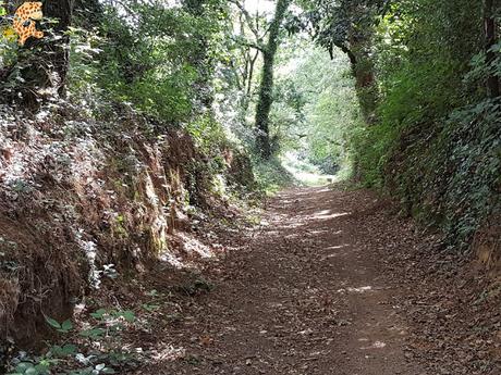 Senderismo Coruña: Ruta 