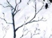 Katty, cuento página para semana.