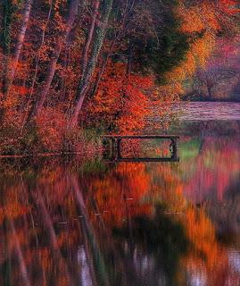 ESTAMOS A PRINCIPIOS DEL OTOÑO...