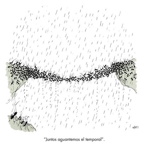 [Humor en cápsulas] Para hoy domingo,1 de octubre de 2017