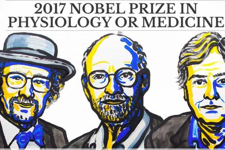 Nobel  2017 premia a descubridores de mecanismo regulador del ritmo circadiano