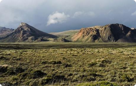 La estepa patagónica, naturaleza en vivo y el viento que barre un espacio sin fin.