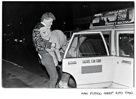 FOTÓGRAFOS: ANDREW SAVULICH