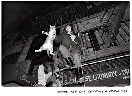 FOTÓGRAFOS: ANDREW SAVULICH