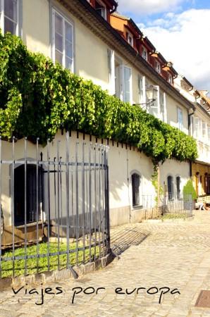 Maribor: descubre un lugar de antiguas viñas y toda la belleza eslovena en un día