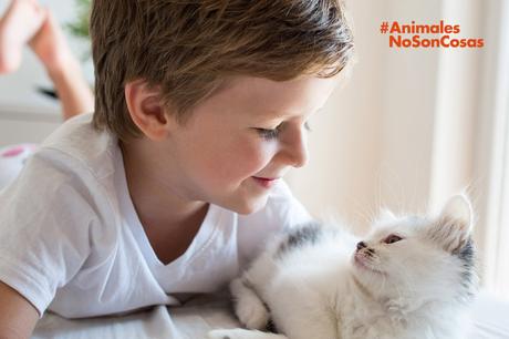 Día Mundial de los animales: #AnimalesNoSonCosas Día Mundial de los animales: #AnimalesNoSonCosas